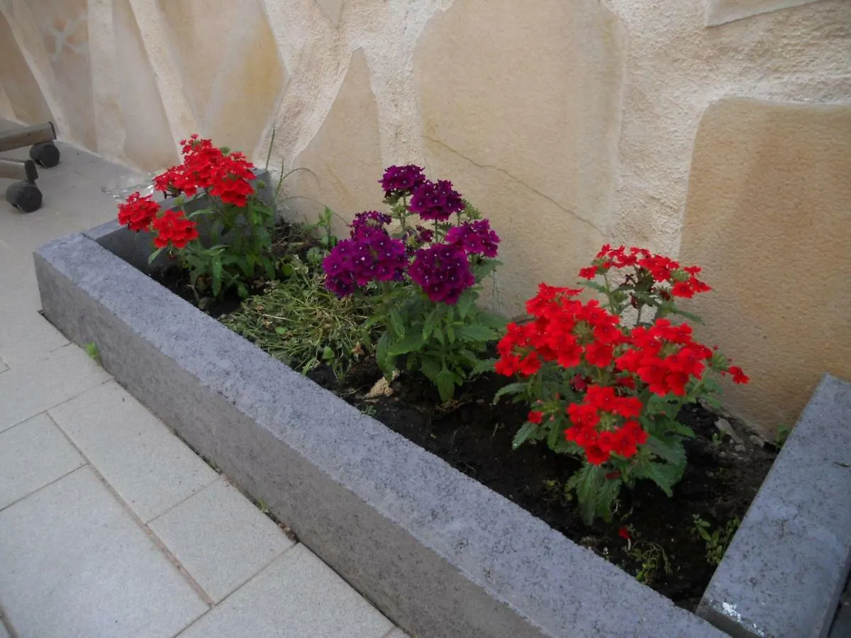 L'Agrifoglio Dell'Etna Bed & Breakfast Trecastagni