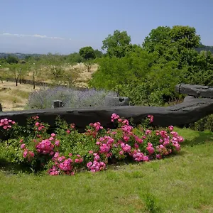 Bed & Breakfast Cirasa Luxury, Trecastagni