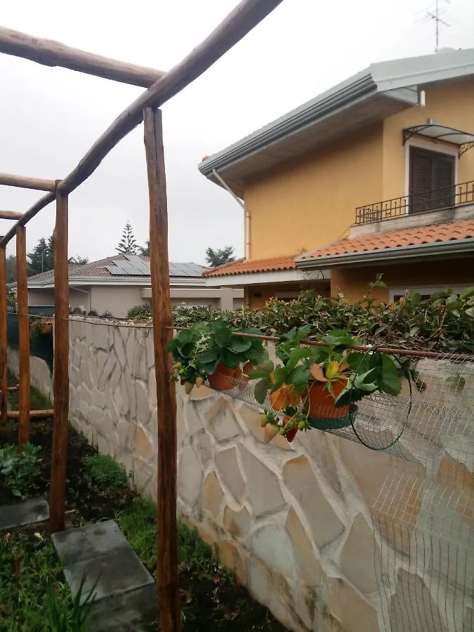 L'Agrifoglio Dell'Etna Bed & Breakfast Trecastagni
