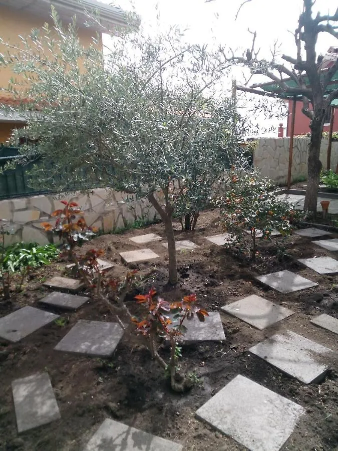 L'Agrifoglio Dell'Etna Bed & Breakfast Trecastagni