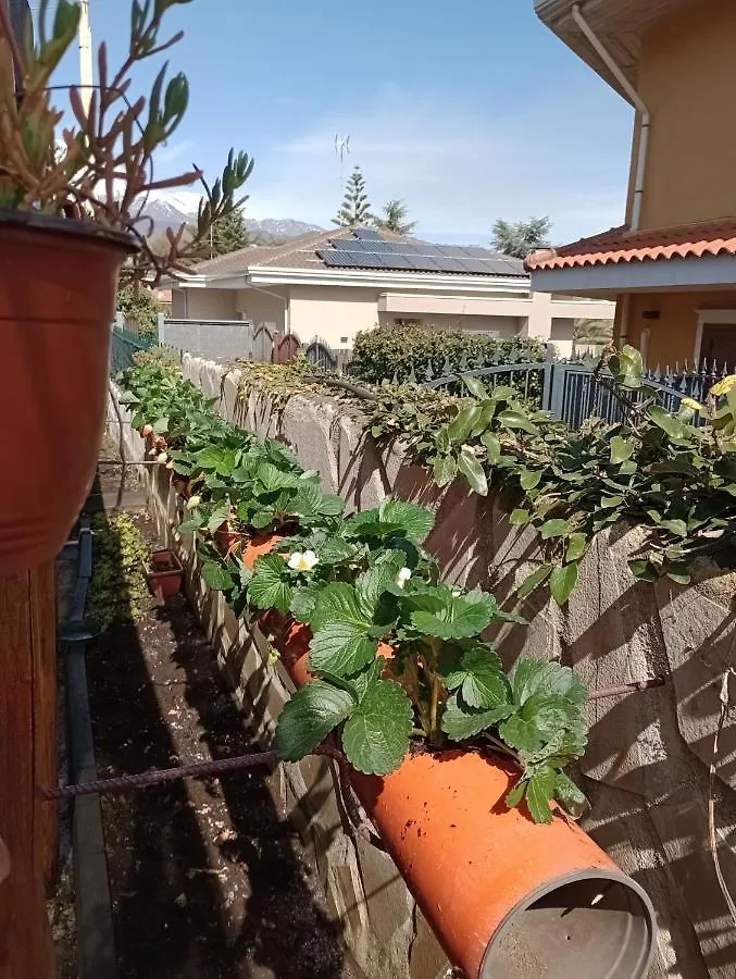 L'Agrifoglio Dell'Etna Bed & Breakfast Trecastagni