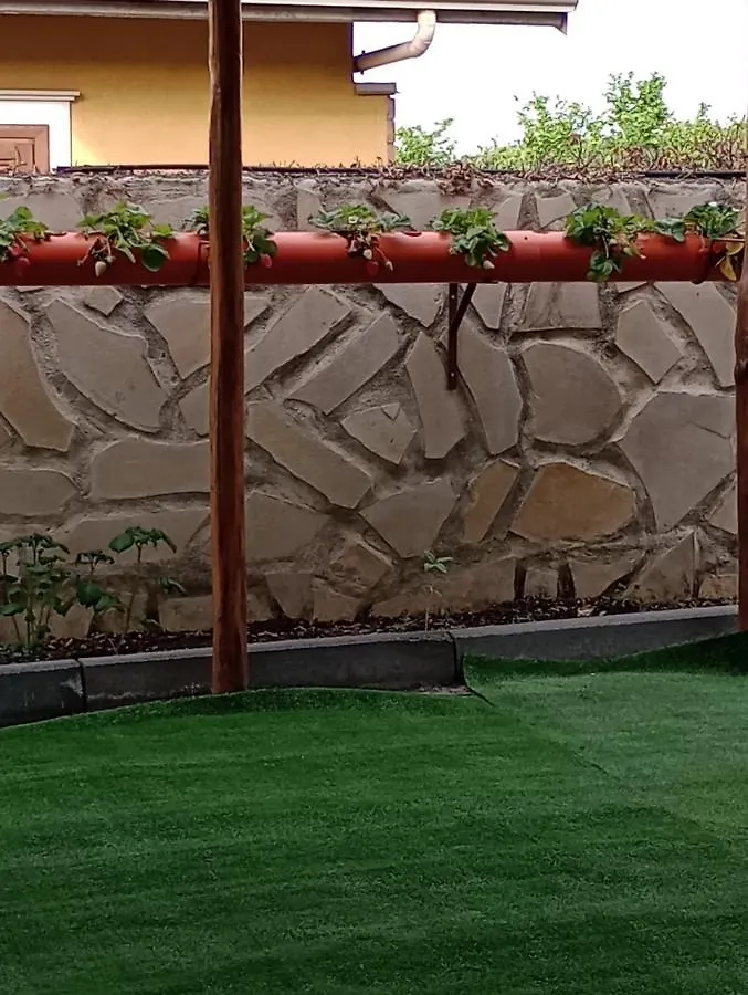 L'Agrifoglio Dell'Etna Bed & Breakfast Trecastagni Italy