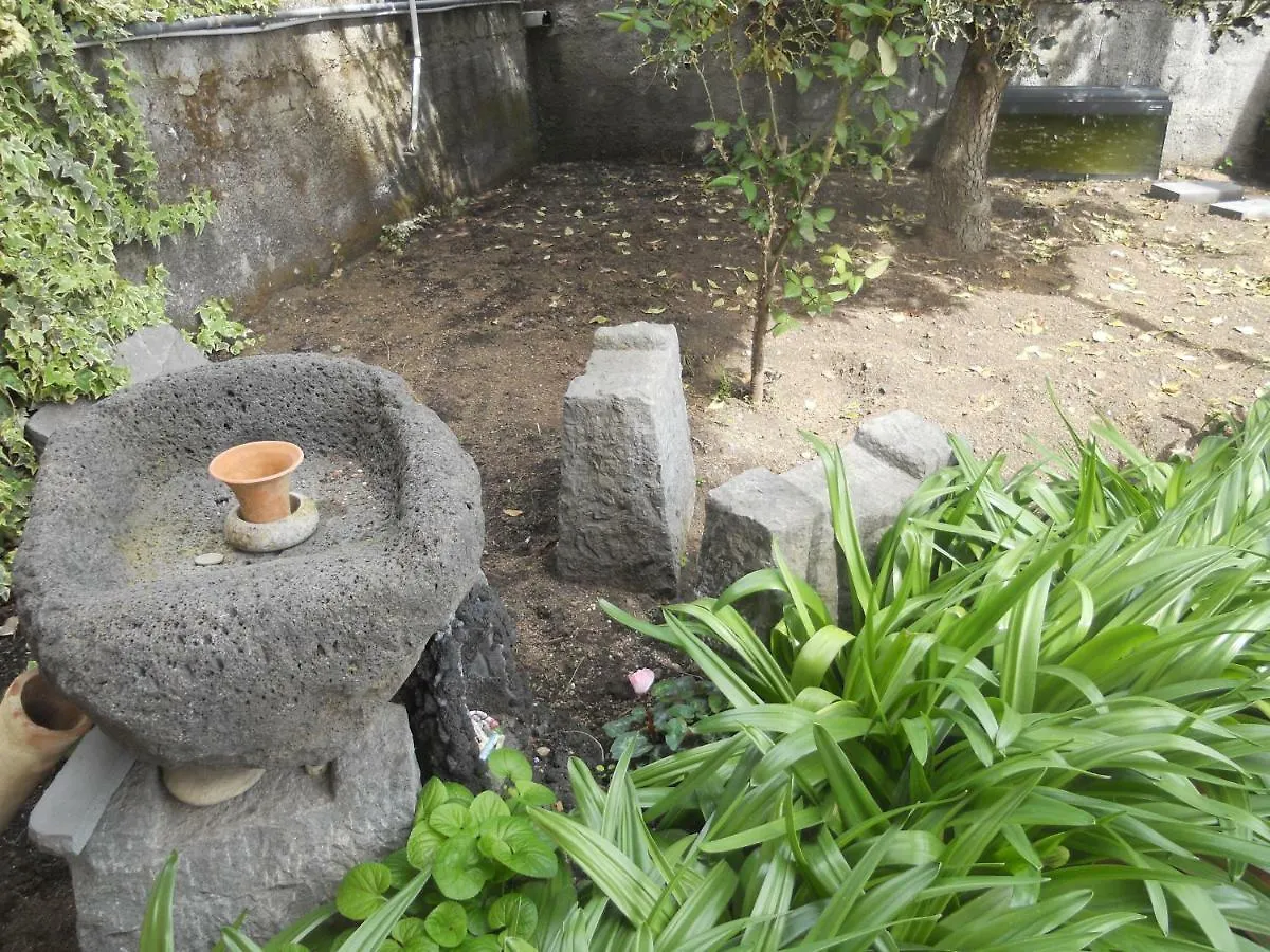 L'Agrifoglio Dell'Etna Bed & Breakfast Trecastagni