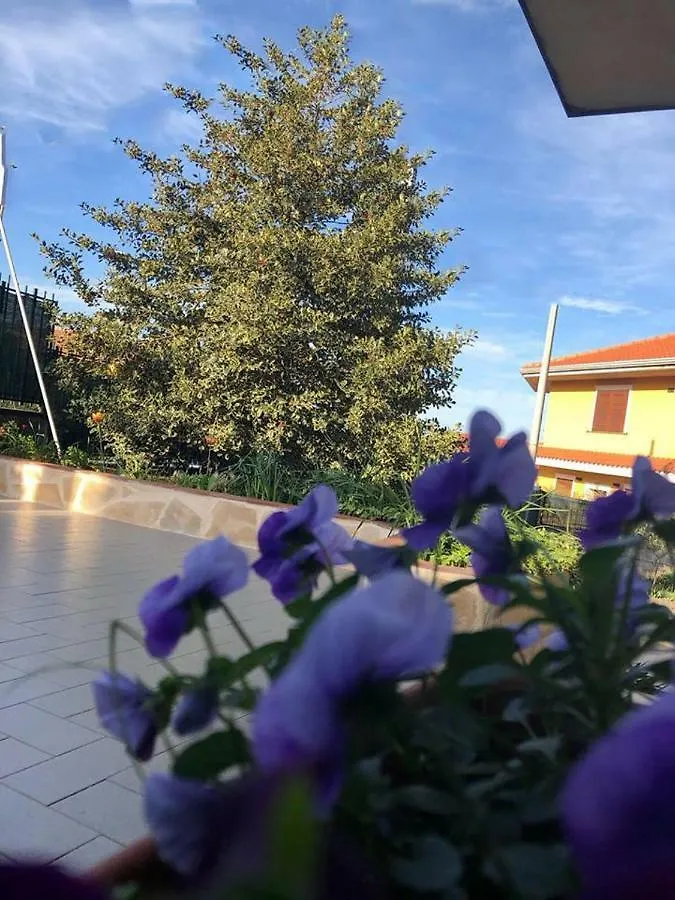 L'Agrifoglio Dell'Etna Bed & Breakfast Trecastagni