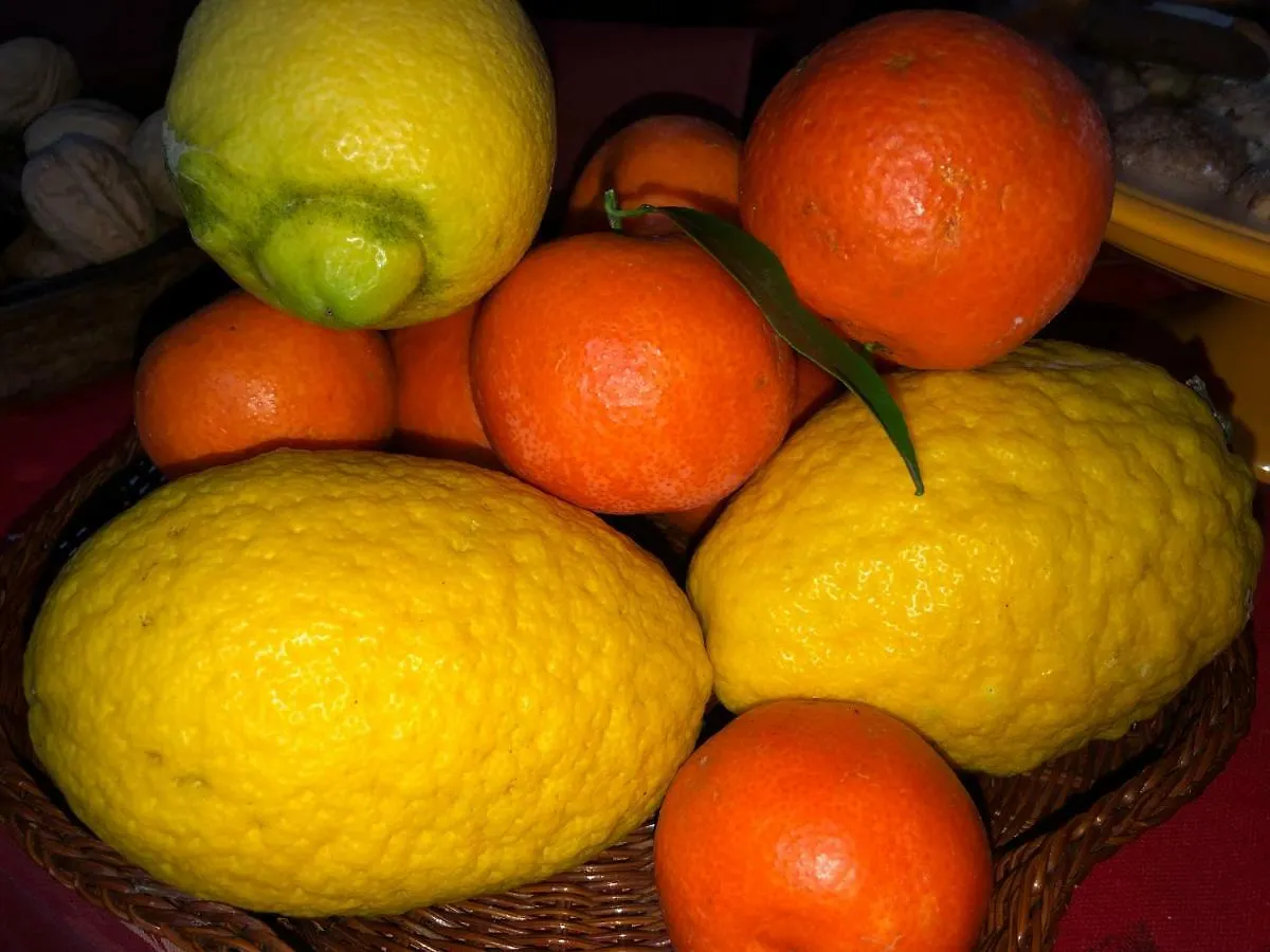 L'Agrifoglio Dell'Etna Bed & Breakfast Trecastagni